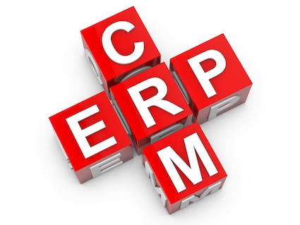 ERP and CRM Intersecting Red Blocks